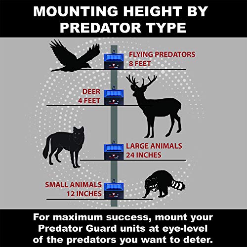 PREDATORGUARD Solar Powered Predator Deterrent Light Scares Noctur...