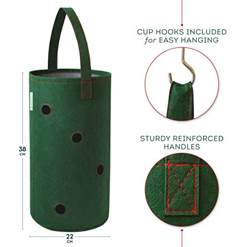 Pri Gardens Hanging Strawberry Planter for Strawberry Bare Root Pl...