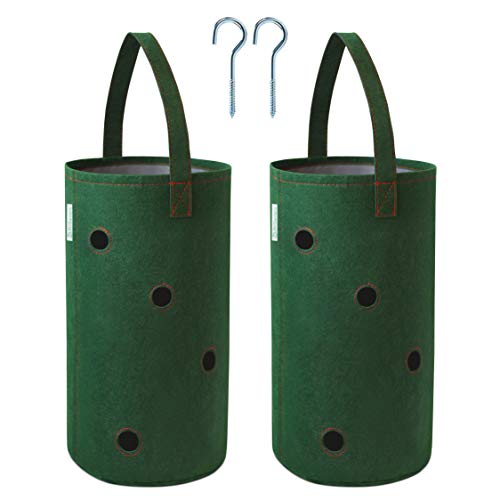 Pri Gardens Hanging Strawberry Planter for Strawberry Bare Root Pl...