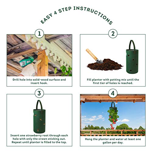 Pri Gardens Hanging Strawberry Planter for Strawberry Bare Root Pl...