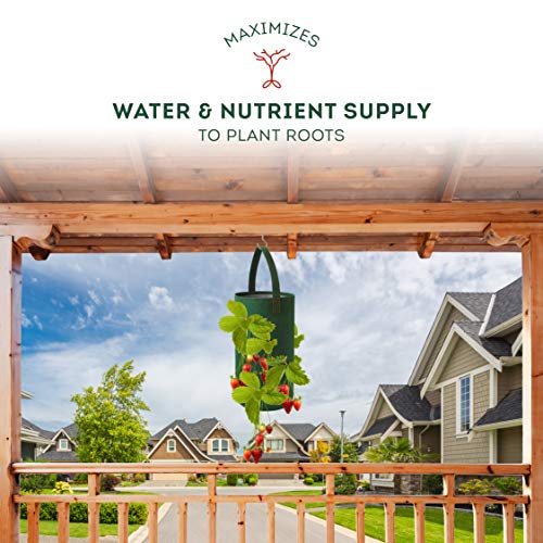 Pri Gardens Hanging Strawberry Planter for Strawberry Bare Root Pl...