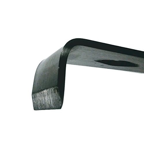 Stainless steel 10 inch pry bar tool