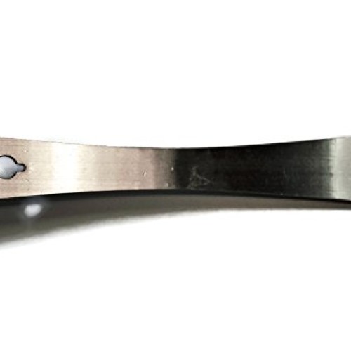 Stainless steel 10 inch pry bar tool