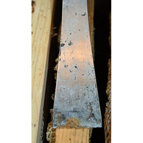 Stainless steel 10 inch pry bar tool