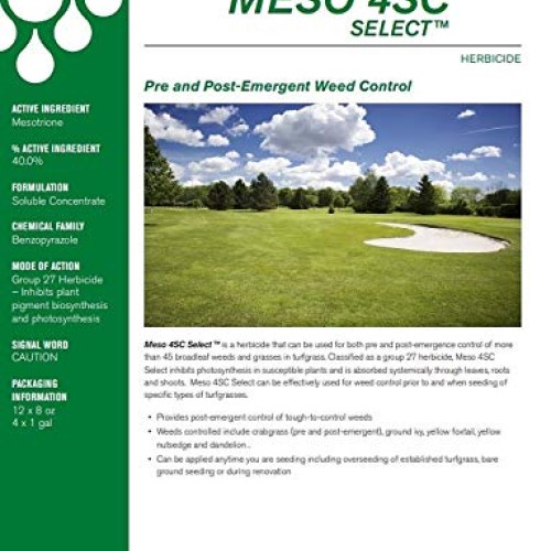 Primesource Meso 4 SC Select