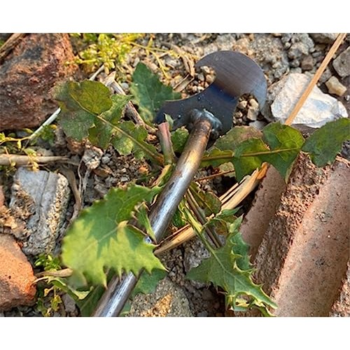 Weeding Artifact Uprooting Weeding Tool, Garden Weeding Tools, Man...