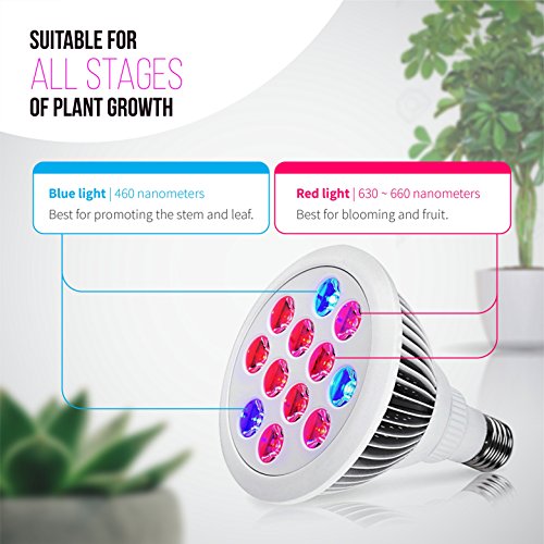 Indoor LED Grow Light Bulbs w/ Clamp Reflector 12W Efficient Gre...