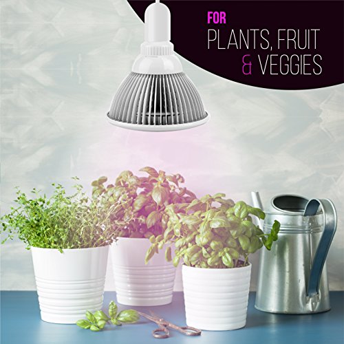 Indoor LED Grow Light Bulbs w/ Clamp Reflector 12W Efficient Gre...