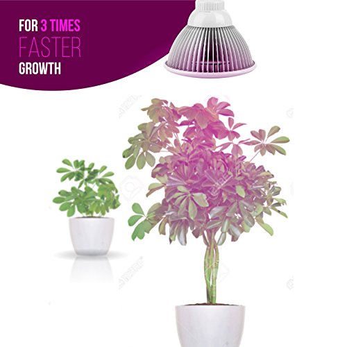 Indoor LED Grow Light Bulbs w/ Clamp Reflector 12W Efficient Gre...