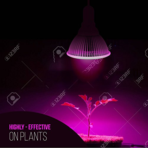Indoor LED Grow Light Bulbs w/ Clamp Reflector 12W Efficient Gre...