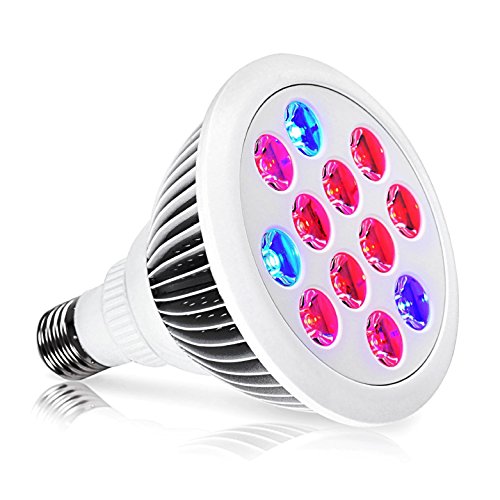 Indoor LED Grow Light Bulbs w/ Clamp Reflector 12W Efficient Gre...