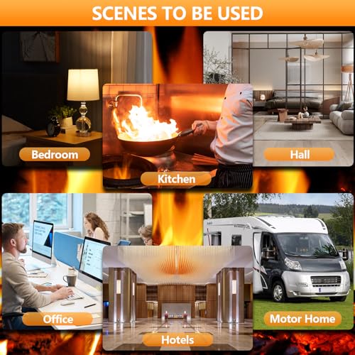 Carbon Monoxide Detectors, 4 in 1 Protectmeter Natural, Propane, M...