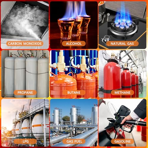 Carbon Monoxide Detectors, 4 in 1 Protectmeter Natural, Propane, M...