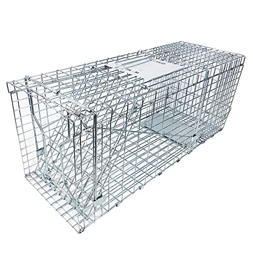 Large Collapsible Humane Live Animal Cage Trap No-Kill Trapping Ki...