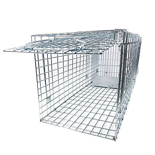 Large Collapsible Humane Live Animal Cage Trap No-Kill Trapping Ki...