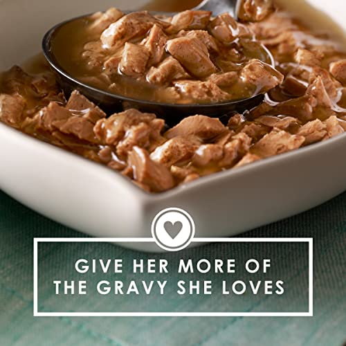 Purina Fancy Feast Gravy Wet Cat Food Variety Pack, Gravy Lovers P...