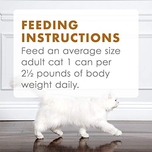 Purina Fancy Feast Gravy Wet Cat Food Variety Pack, Gravy Lovers P...