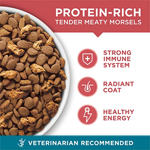 Purina ONE Natural Dry Cat Food, Tender Selects Blend With Real Sa...
