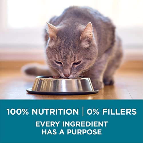 Purina ONE Natural Dry Cat Food, Tender Selects Blend With Real Sa...