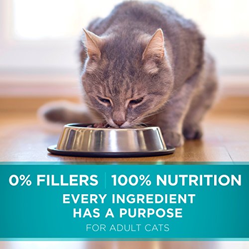 Purina ONE Natural Dry Cat Food, Tender Selects Blend With Real Sa...