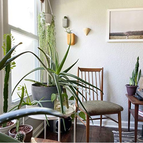 Purzest Ceramic Hanging Planters Geometric Wall Decor Container Fl...