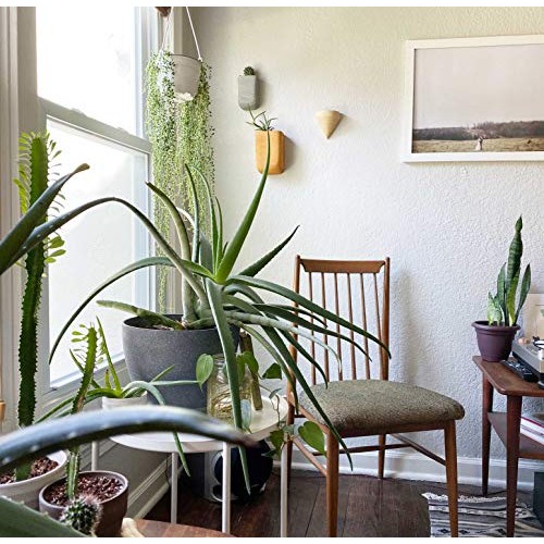 Purzest Ceramic Hanging Planters Geometric Wall Decor Container Fl...