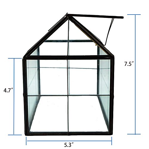 Purzest Glass Terrarium, House Shape Geometric Succulent Terrarium...