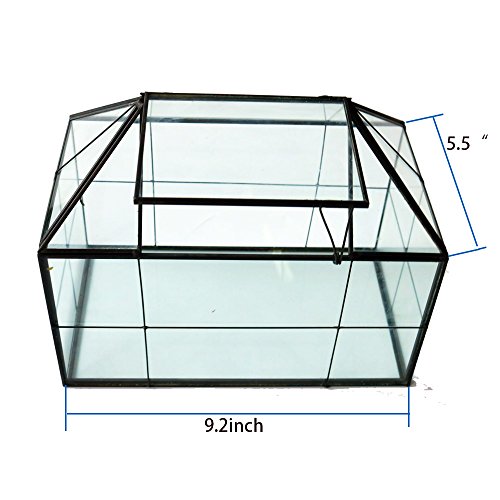Purzest Glass Terrarium, House Shape Geometric Succulent Terrarium...