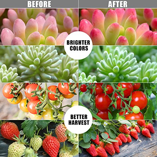 Grow Light Plant Light 20W Growing Lamp 9 Dimmable Level Full Spec...