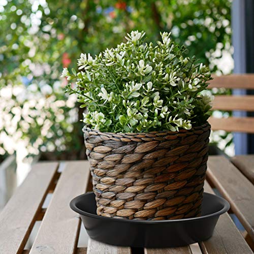 QDBNW Plant Saucer 6 inch of 3 Pack Black Heavy Duty Sturdy Durabl...