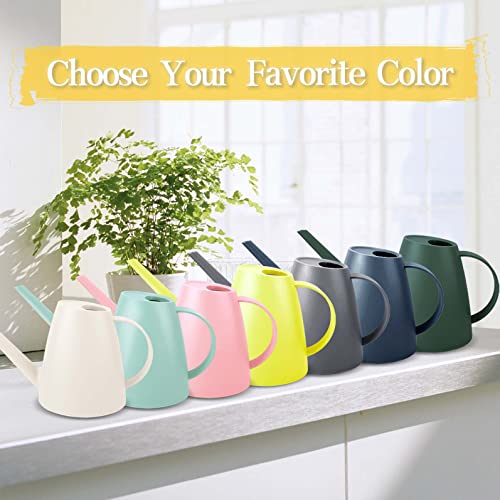 Watering Can for Indoor Plants, Small Watering Cans for House Plan...