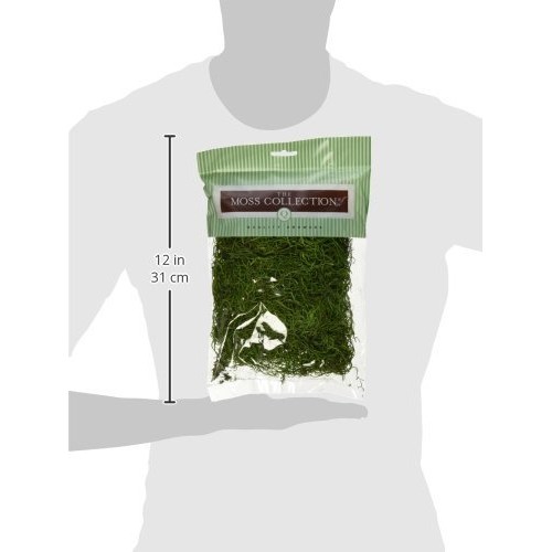 Quality Growers Preserved Spanish Moss 108.5 Cubic Inches-Apple Green