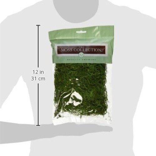 Quality Growers Preserved Spanish Moss 108.5 Cubic Inches-Apple Green