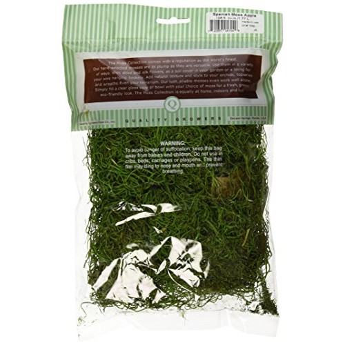 Quality Growers Preserved Spanish Moss 108.5 Cubic Inches-Apple Green