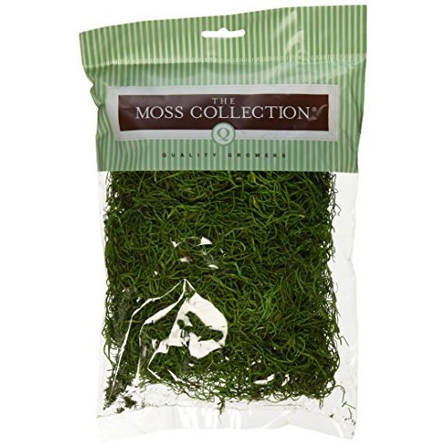 Quality Growers Preserved Spanish Moss 108.5 Cubic Inches-Apple Green