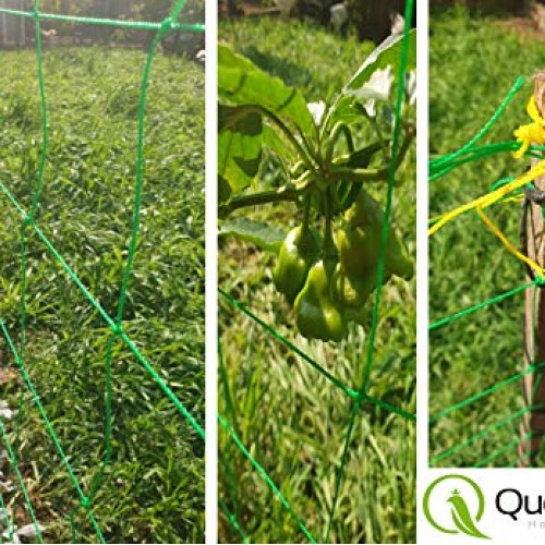 QueenBird Trellis Netting - Heavy Duty Garden Trellis Netting for ...