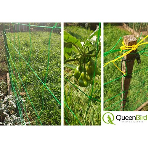 QueenBird Trellis Netting - Heavy Duty Garden Trellis Netting for ...