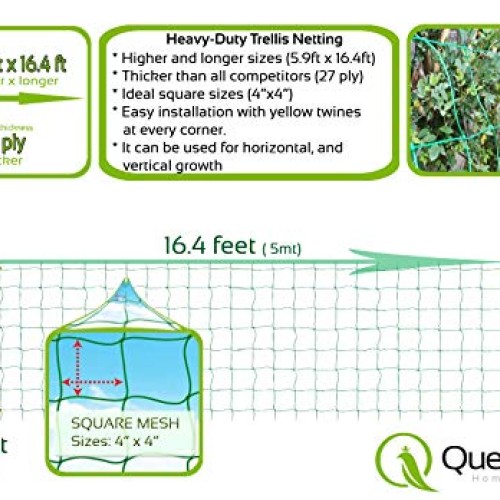 QueenBird Trellis Netting - Heavy Duty Garden Trellis Netting for ...