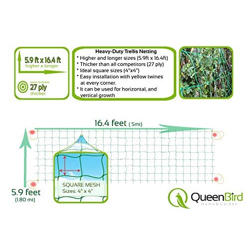 QueenBird Trellis Netting - Heavy Duty Garden Trellis Netting for ...