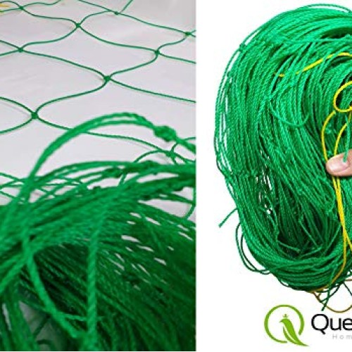 QueenBird Trellis Netting - Heavy Duty Garden Trellis Netting for ...
