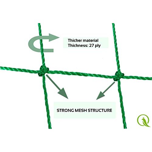 QueenBird Trellis Netting - Heavy Duty Garden Trellis Netting for ...