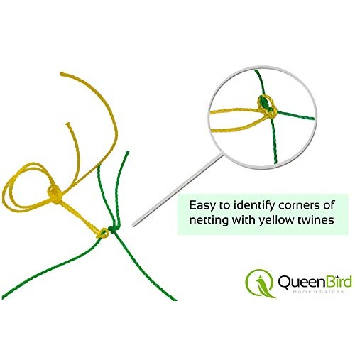QueenBird Trellis Netting - Heavy Duty Garden Trellis Netting for ...