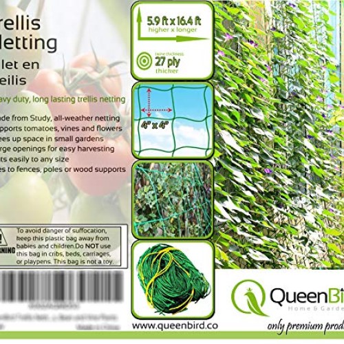 QueenBird Trellis Netting - Heavy Duty Garden Trellis Netting for ...