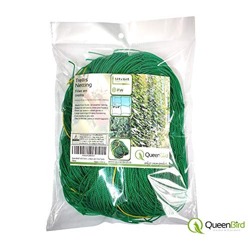 QueenBird Trellis Netting - Heavy Duty Garden Trellis Netting for ...
