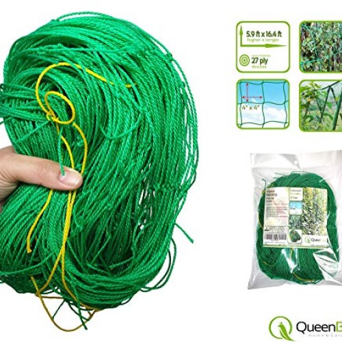 QueenBird Trellis Netting - Heavy Duty Garden Trellis Netting for ...