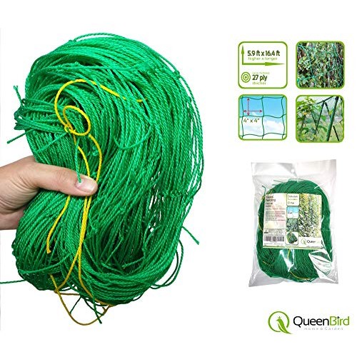 QueenBird Trellis Netting - Heavy Duty Garden Trellis Netting for ...