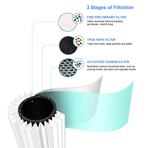 QUEENTY True HEPA Filter - Replacement Air Purifier Filter Odor Al...