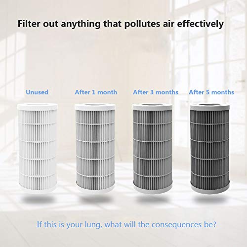 QUEENTY True HEPA Filter - Replacement Air Purifier Filter Odor Al...