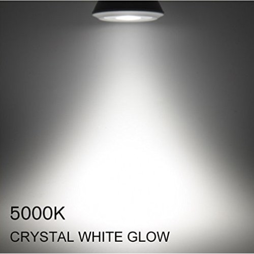 30 Pack T8, T10, T12, 4FT LED Frosted Lens Glass Type A & B Tube...