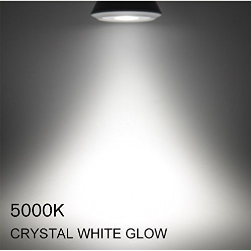 30 Pack T8, T10, T12, 4FT LED Frosted Lens Glass Type A & B Tube...